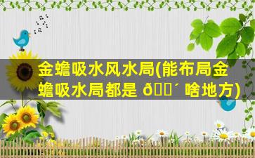 金蟾吸水风水局(能布局金蟾吸水局都是 🐴 啥地方)